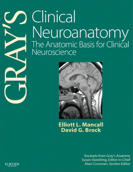 GRAY’S Clinical Neuroanatomy : The Anatomic Basis for Clinical Neuroscience
