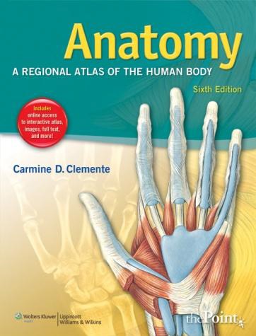 Anatomy Regional Atlas Of The Human Body